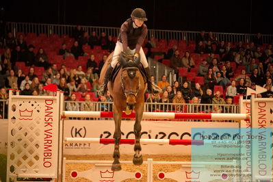 07 FENDT CSI3 Medium Tour (238.2.1) 1.40
Keywords: bennedikte rie truelsen;elite de riverland