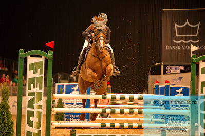 07 FENDT CSI3 Medium Tour (238.2.1) 1.40
Keywords: simone  hansen scherff;happy gerlina gph