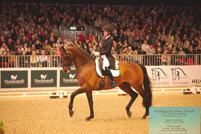 Helgstrand Jewellery CDI3 Grand Prix (GP)
Keywords: corinda luttjeboer;cirano