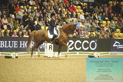 09 ECCO CDI5Grand Prix Special (GPS) - ECCO FIVE STAR DRESSAGE
Keywords: antonia von dungern;dsp queen rubin