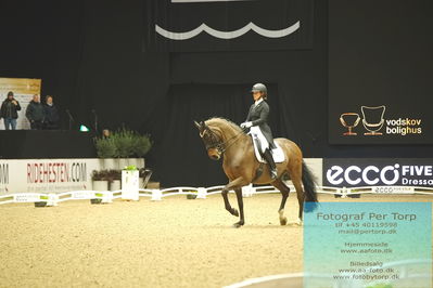 09 ECCO CDI5Grand Prix Special (GPS) - ECCO FIVE STAR DRESSAGE
Keywords: anna kasparcack;rock star 13