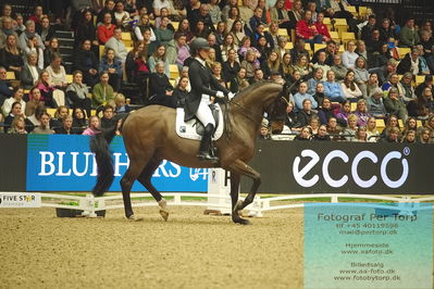 09 ECCO CDI5Grand Prix Special (GPS) - ECCO FIVE STAR DRESSAGE
Keywords: anna kasparcack;rock star 13