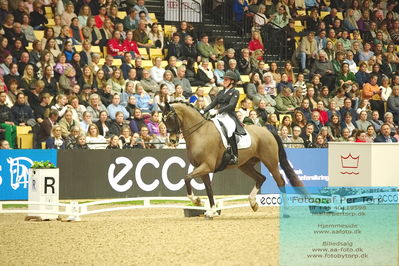 09 ECCO CDI5Grand Prix Special (GPS) - ECCO FIVE STAR DRESSAGE
Keywords: nadja aaboe sloth;favour gersdorf