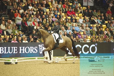 09 ECCO CDI5Grand Prix Special (GPS) - ECCO FIVE STAR DRESSAGE
Keywords: nadja aaboe sloth;favour gersdorf