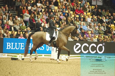 09 ECCO CDI5Grand Prix Special (GPS) - ECCO FIVE STAR DRESSAGE
Keywords: nadja aaboe sloth;favour gersdorf