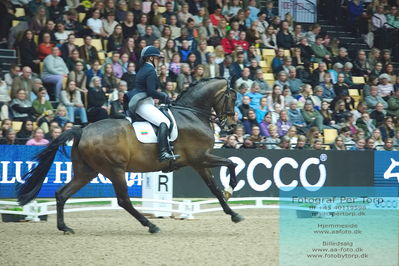 09 ECCO CDI5Grand Prix Special (GPS) - ECCO FIVE STAR DRESSAGE
Keywords: justina vanagaite;nabab