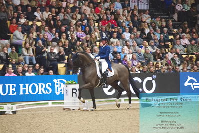 09 ECCO CDI5Grand Prix Special (GPS) - ECCO FIVE STAR DRESSAGE
Keywords: karen nijvelt;nijvelt