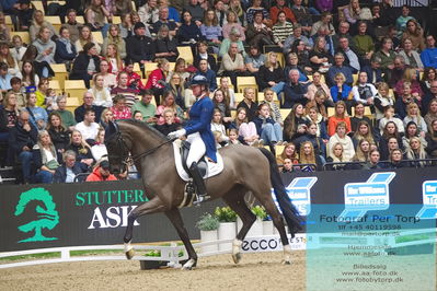 09 ECCO CDI5Grand Prix Special (GPS) - ECCO FIVE STAR DRESSAGE
Keywords: karen nijvelt;nijvelt