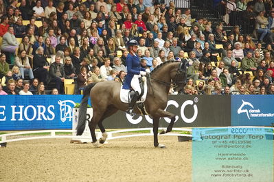 09 ECCO CDI5Grand Prix Special (GPS) - ECCO FIVE STAR DRESSAGE
Keywords: karen nijvelt;nijvelt