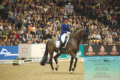 09 ECCO CDI5Grand Prix Special (GPS) - ECCO FIVE STAR DRESSAGE
Keywords: karen nijvelt;nijvelt