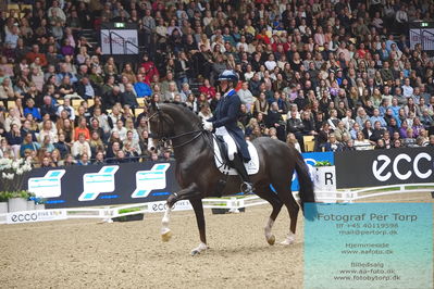 09 ECCO CDI5Grand Prix Special (GPS) - ECCO FIVE STAR DRESSAGE
Keywords: nanna skodborg merrald;blue hors don olymbrio