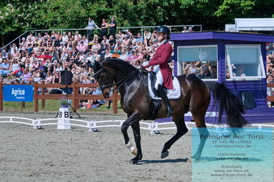 valllensbæk ride klub
senior finale
Keywords: dm;karoline louise skoet;midgaards zamir;pt