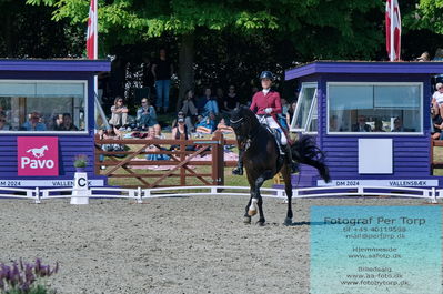 valllensbæk ride klub
senior finale
Keywords: dm;karoline louise skoet;midgaards zamir;pt