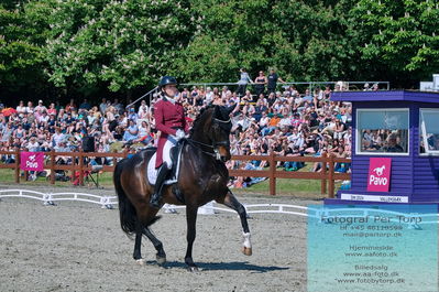 valllensbæk ride klub
senior finale
Keywords: dm;karoline louise skoet;midgaards zamir;pt