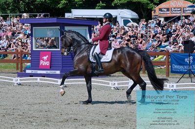 valllensbæk ride klub
senior finale
Keywords: dm;karoline louise skoet;midgaards zamir;pt