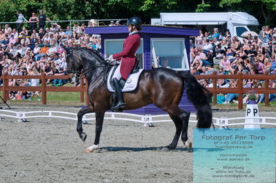 valllensbæk ride klub
senior finale
Keywords: dm;karoline louise skoet;midgaards zamir;pt