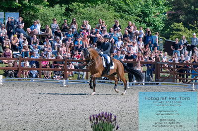 valllensbæk ride klub
senior finale
Keywords: dm;pt;anna zibrandtsen;quel filou old