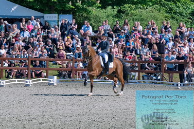 valllensbæk ride klub
senior finale
Keywords: dm;pt;anna zibrandtsen;quel filou old