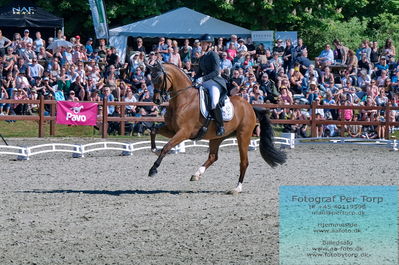 valllensbæk ride klub
senior finale
Keywords: dm;pt;anna zibrandtsen;quel filou old