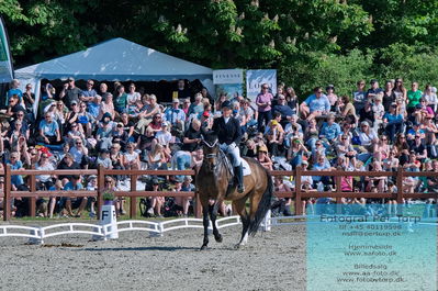 valllensbæk ride klub
senior finale
Keywords: dm;pt;lone madsen;heslegaards ragnhild