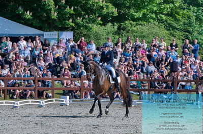 valllensbæk ride klub
senior finale
Keywords: dm;pt;lone bang larsen;thranegaardens rostov