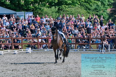 valllensbæk ride klub
senior finale
Keywords: dm;pt;lone bang larsen;thranegaardens rostov