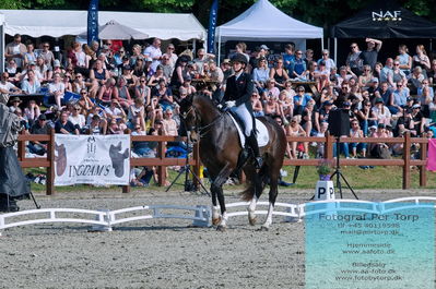 valllensbæk ride klub
senior finale
Keywords: dm;pt;nadja aaboe sloth;miss holsteins marikka