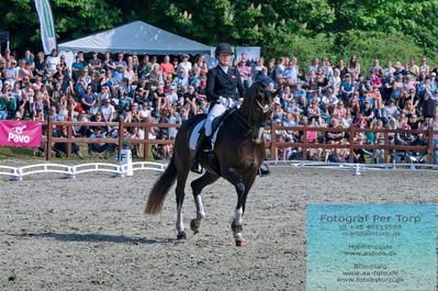 valllensbæk ride klub
senior finale
Keywords: dm;pt;nadja aaboe sloth;miss holsteins marikka