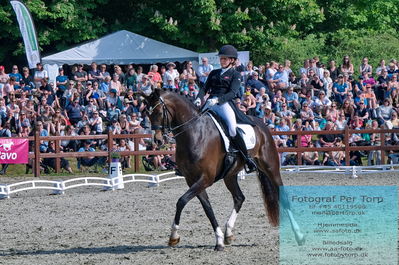 valllensbæk ride klub
senior finale
Keywords: dm;pt;nadja aaboe sloth;miss holsteins marikka