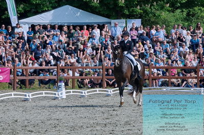 valllensbæk ride klub
senior finale
Keywords: dm;pt;nadja aaboe sloth;miss holsteins marikka