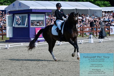 valllensbæk ride klub
senior finale
Keywords: dm;pt;nadja aaboe sloth;miss holsteins marikka