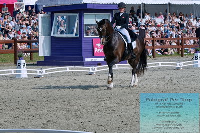 valllensbæk ride klub
senior finale
Keywords: dm;pt;nadja aaboe sloth;miss holsteins marikka