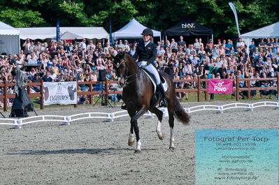 valllensbæk ride klub
senior finale
Keywords: dm;pt;nadja aaboe sloth;miss holsteins marikka