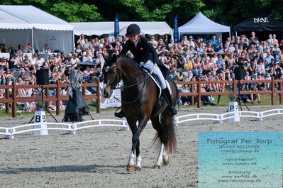 valllensbæk ride klub
senior finale
Keywords: dm;pt;nadja aaboe sloth;miss holsteins marikka