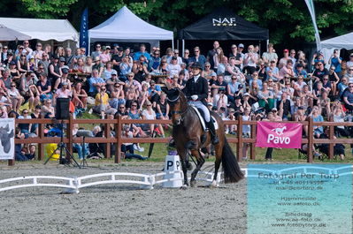 valllensbæk ride klub
senior finale
Keywords: cathrine laudrup-dufour;dm;pt;mount st john freestyle