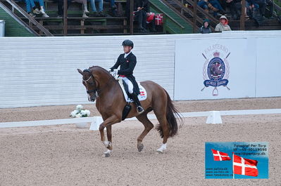 FEI Dressage Nations Cup Grand Prix
Keywords: falsterbo;joackim thomsen;vichy pax