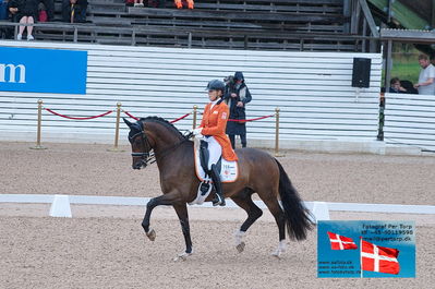 FEI Dressage Nations Cup Grand Prix
Keywords: falsterbo;gerdine maree;Holiday