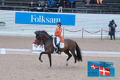 FEI Dressage Nations Cup Grand Prix
Keywords: falsterbo;gerdine maree;Holiday