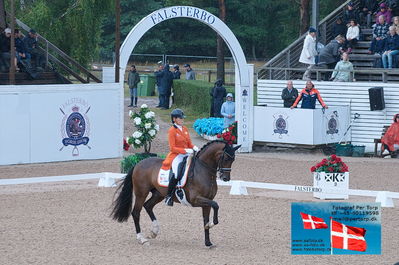 FEI Dressage Nations Cup Grand Prix
Keywords: falsterbo;gerdine maree;Holiday