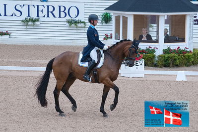 FEI Dressage Nations Cup Grand Prix
Keywords: falsterbo;mads hendeliowitz;milwauke