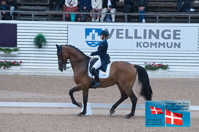 FEI Dressage Nations Cup Grand Prix
Keywords: falsterbo;linda swande;baston rouge c