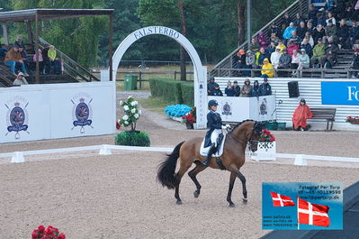 FEI Dressage Nations Cup Grand Prix
Keywords: falsterbo;linda swande;baston rouge c