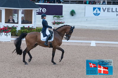 FEI Dressage Nations Cup Grand Prix
Keywords: falsterbo;linda swande;baston rouge c