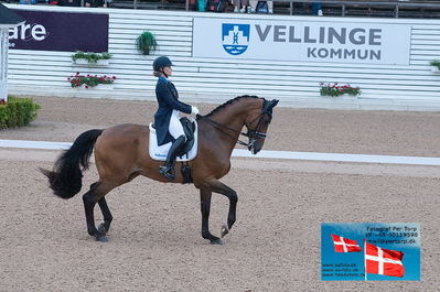 FEI Dressage Nations Cup Grand Prix
Keywords: falsterbo;linda swande;baston rouge c