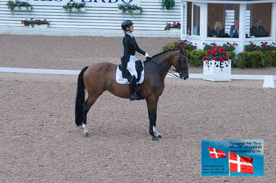 7års semifinale dressur
Keywords: falsterbo;camilla laerke stubberup;fransicca-d