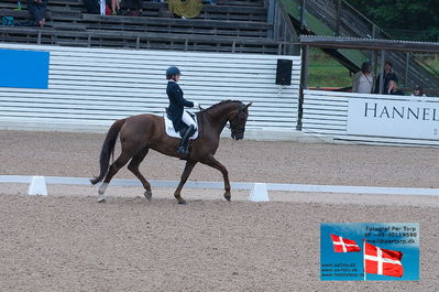 7års semifinale dressur
Keywords: falsterbo;clara bergwall;reticulum