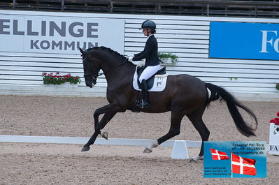 5års finale dressur
Keywords: falsterbo;selina solberg vittinghus;atterupgaards stirling moss