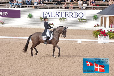 CDI3 Grand Prix
Keywords: falsterbo;carina scholz;soiree d'amour old