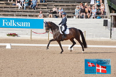 CDI3 Grand Prix
Keywords: falsterbo;helen langehanrnberg;schoene scarlet frh