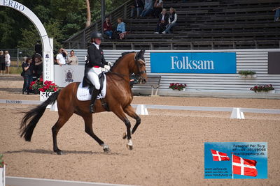 falsterbo u25
dressur
Keywords: falsterbo;ida kirstine bjoern;hissmanns jacksom